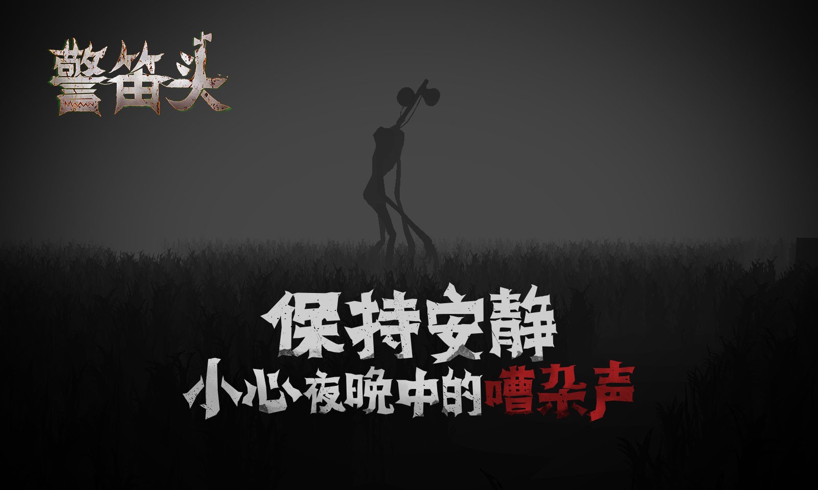 文旅局长为游客去年专门考了导游证